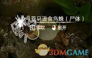 《绿色地狱》亚马逊食鸟蛛食用效果一览