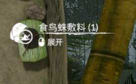 《绿色地狱》亚马逊食鸟蛛食用效果一览