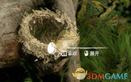 《绿色地狱》蛋食用效果一览