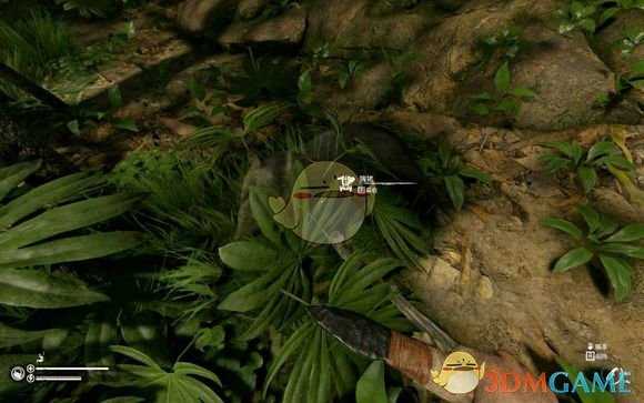 《绿色地狱》猯猪食用效果一览