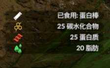 《绿色地狱》蛋白棒效果一览