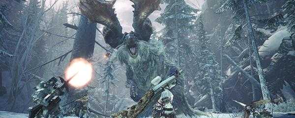 怪物猎人世界怎么带13闪