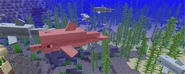 我的世界海豚找到的宝藏在哪里