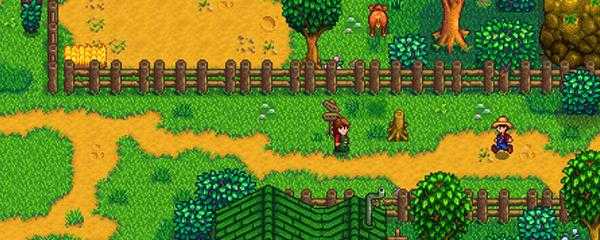 星露谷物语连接失败