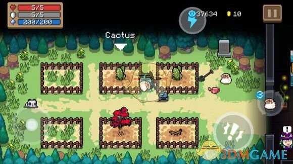 《元气骑士》仙人掌介绍 属性及获得方式一览