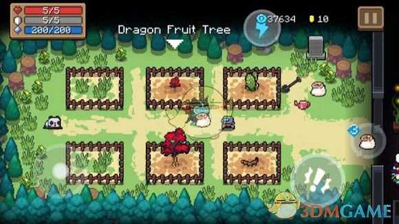 《元气骑士》火龙果树介绍 属性及获得方式一览