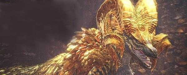 绚辉龙一个人怎么打