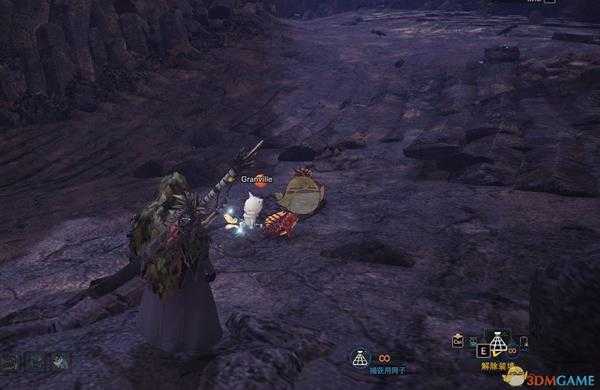 《怪物猎人：世界》龙结晶之地环境生物汇总