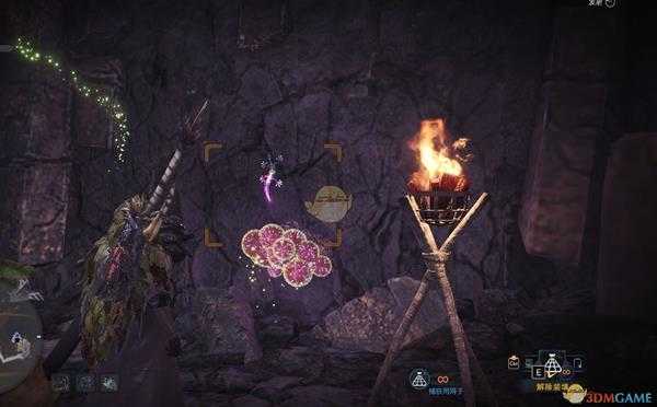 《怪物猎人：世界》龙结晶之地环境生物汇总