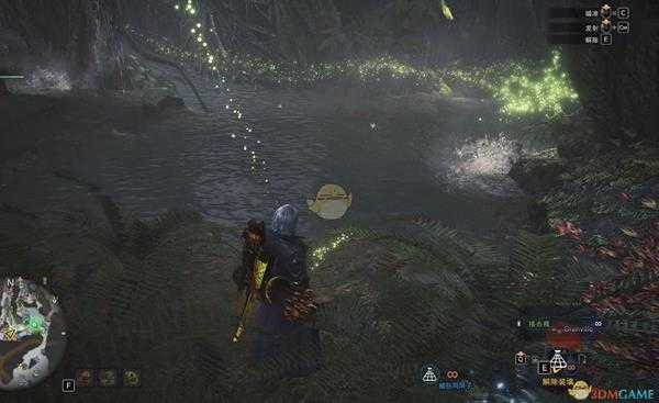 《怪物猎人：世界》古代树地区钓鱼点汇总