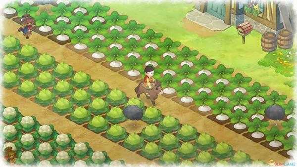 《哆啦A梦：大雄的牧场物语》独角甲虫出现位置分享