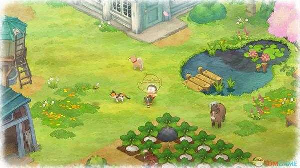 《哆啦A梦：大雄的牧场物语》鸡屋小男孩喜爱物品介绍