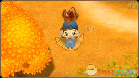 《牧场物语：重聚矿石镇》圣母山脉的产出