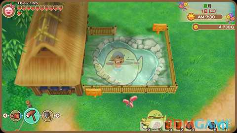 《牧场物语：重聚矿石镇》温泉的用处