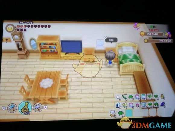 《牧场物语：重聚矿石镇》海之别墅介绍