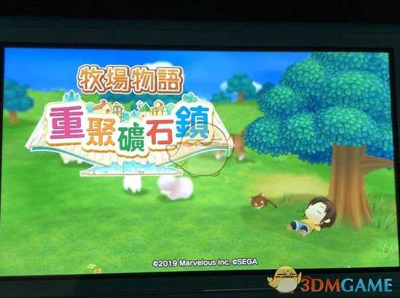 《牧场物语：重聚矿石镇》草莓种子获取方式