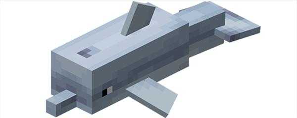 我的世界海豚怎么养