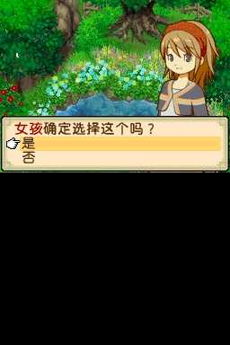 《牧场物语双子村》提升好感度的方法与详细