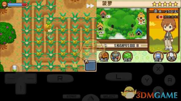 《牧场物语双子村》艾琳角色介绍