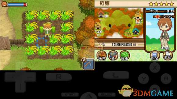 《牧场物语双子村》琉伊角色介绍