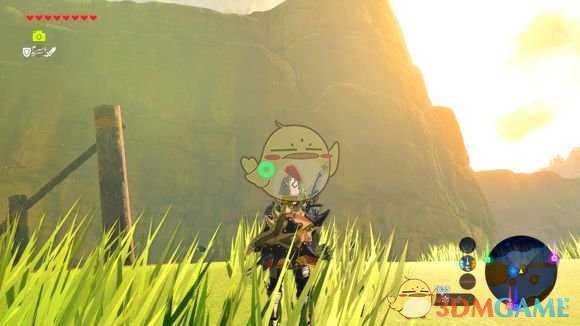 《塞尔达传说：旷野之息》特殊的双手武器