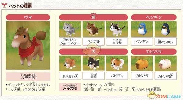 《牧场物语：重聚矿石镇》宠物好感度增加方法分享