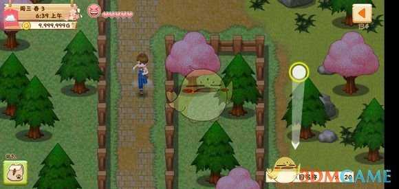 《牧场物语：希望之光》第三天攻略