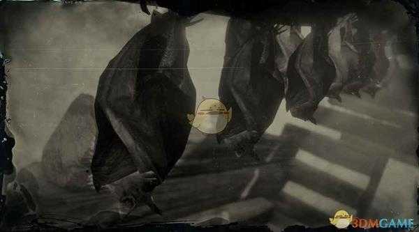 《荒野大镖客2》小棕蝠图鉴一览