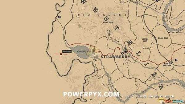 《荒野大镖客2》美洲黑熊图鉴一览