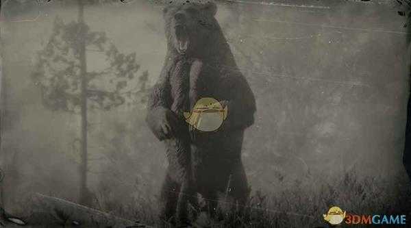 《荒野大镖客2》大灰熊图鉴一览