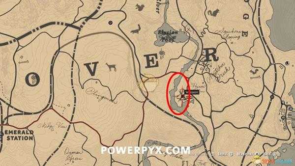 《荒野大镖客2》北美河狸图鉴一览