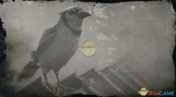 《荒野大镖客2》蓝松鸦图鉴一览