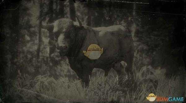 《荒野大镖客2》德文公牛图鉴一览