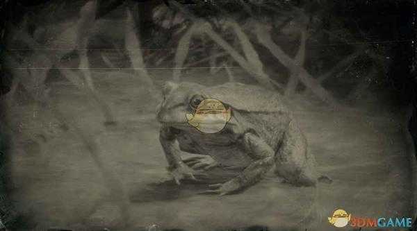 《荒野大镖客2》美国牛蛙图鉴一览