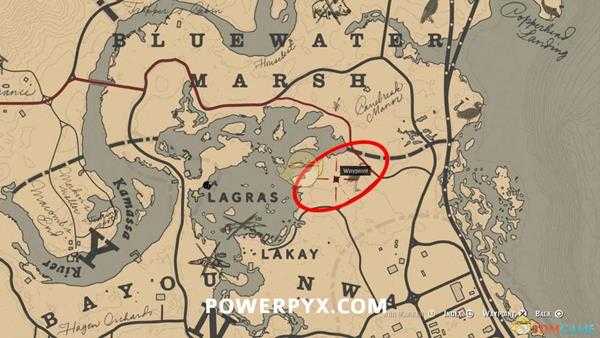 《荒野大镖客2》美国牛蛙图鉴一览