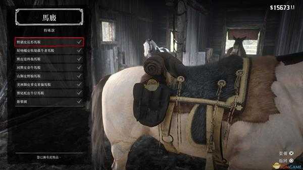 《荒野大镖客2》荒野大镖客2全马鞍详细排名