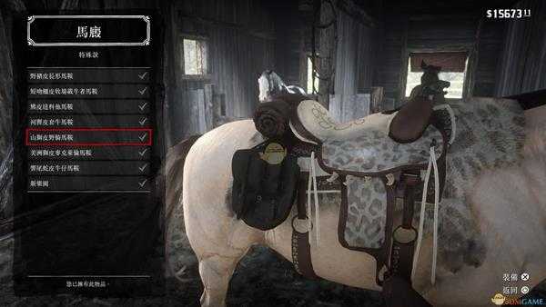 《荒野大镖客2》荒野大镖客2全马鞍详细排名