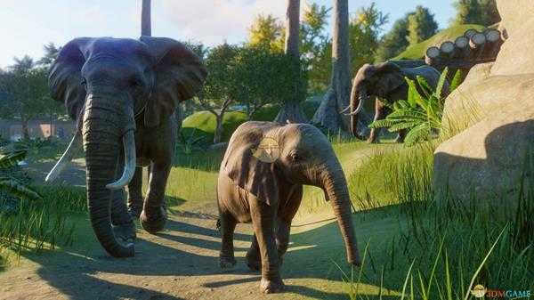 《动物园之星》非洲草原象外观一览