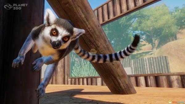 《动物园之星》全动物外观一览