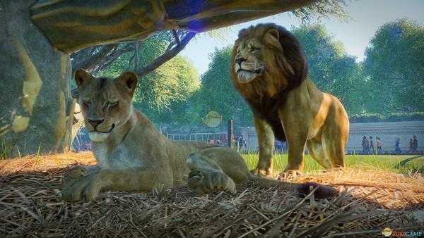 《动物园之星》全动物外观一览