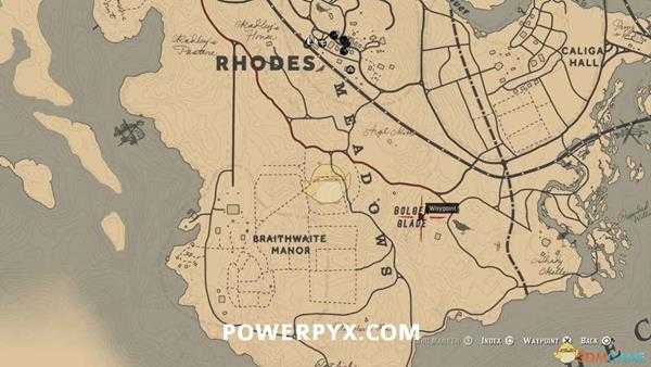 《荒野大镖客2》西部花鼠图鉴一览