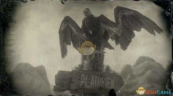 《荒野大镖客2》加州神鹫图鉴一览