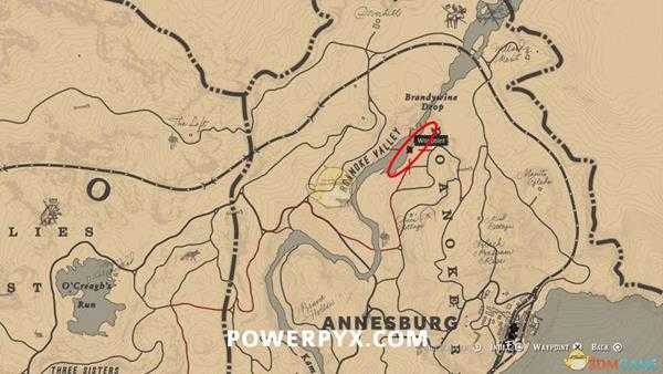 《荒野大镖客2》双冠鸬鹚图鉴一览