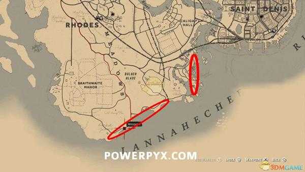 《荒野大镖客2》美洲鸬鹚图鉴一览