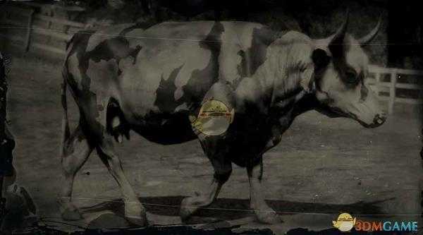 《荒野大镖客2》佛罗里达奶牛图鉴一览