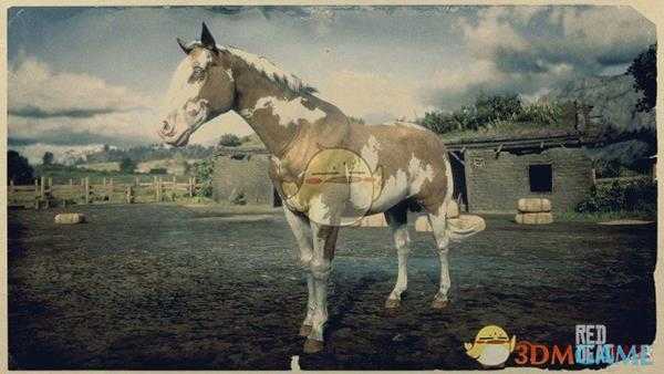 《荒野大镖客2》欧维欧毛色美国花马属性一览