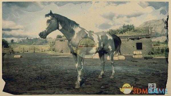 《荒野大镖客2》白斑毛色美国花马属性一览