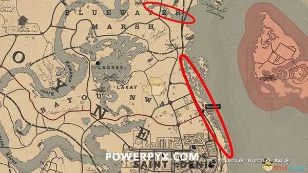 《荒野大镖客2》美洲鹤图鉴一览