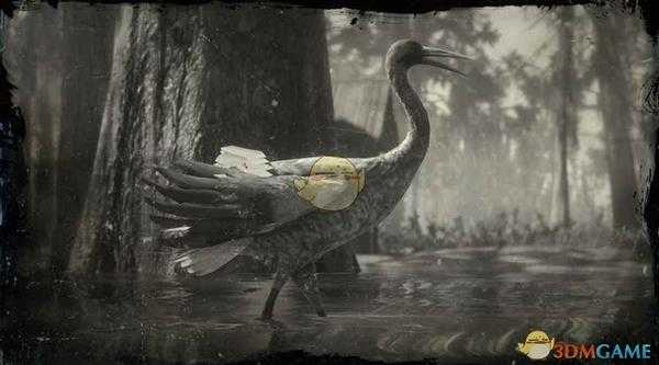 《荒野大镖客2》沙丘鹤图鉴一览