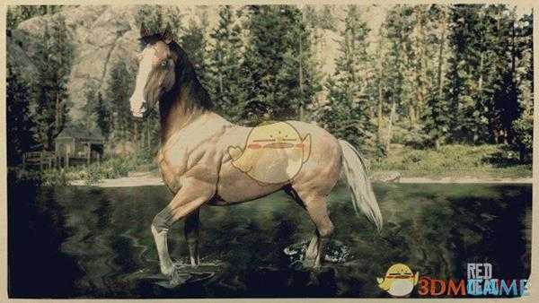 《荒野大镖客2》银尾鹿皮棕色毛色美国标准种马属性一览